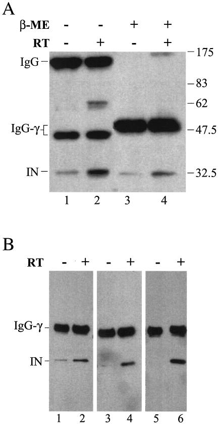 FIG. 7.