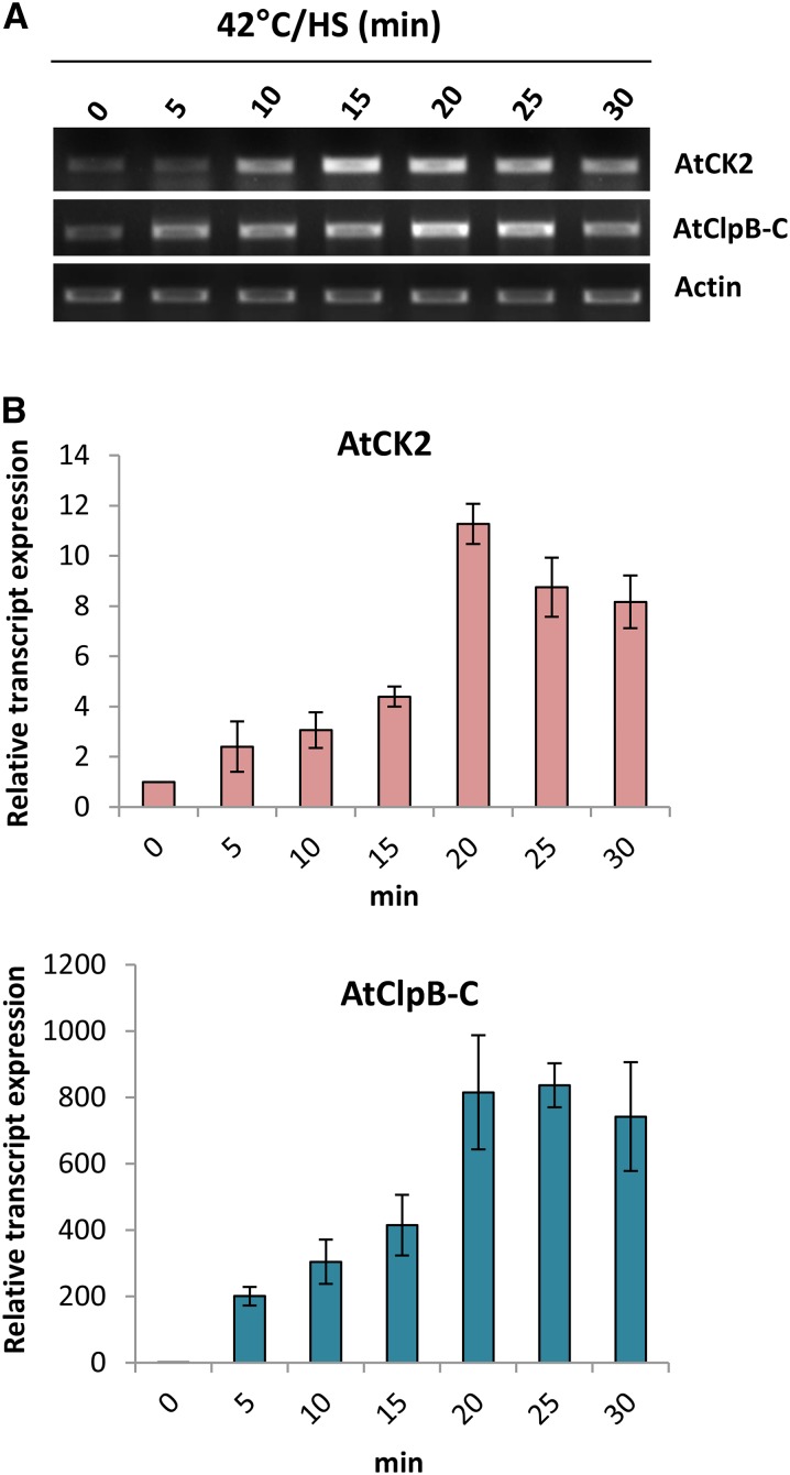 Figure 4.