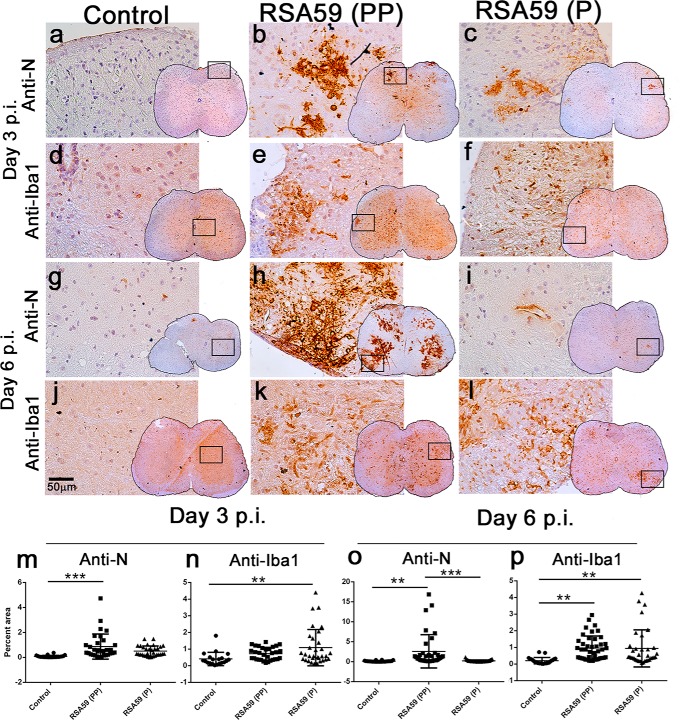 Figure 13.