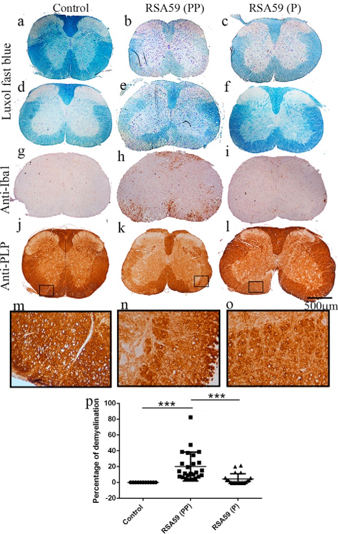 Figure 14.