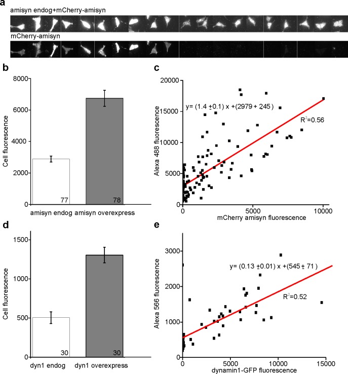 Figure 6—figure supplement 2.