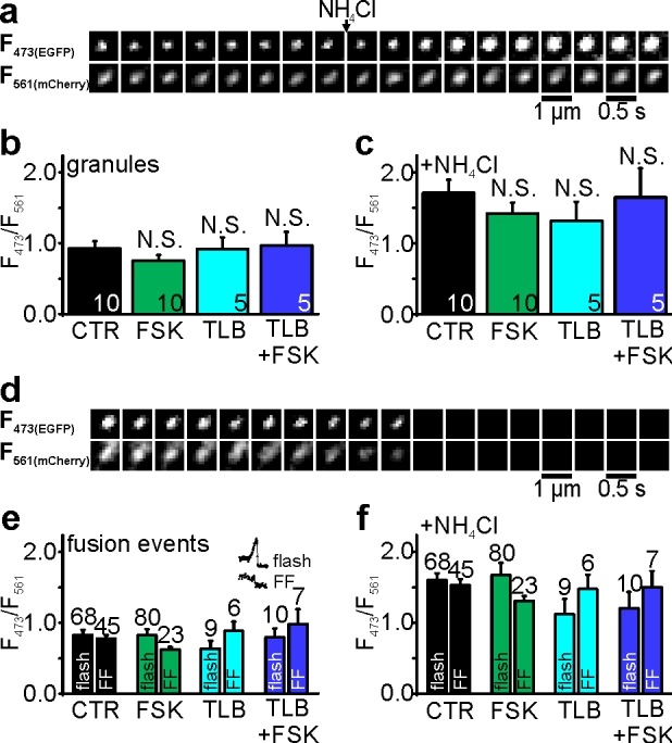 Figure 5—figure supplement 1.