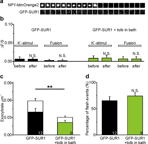 Figure 5—figure supplement 2.