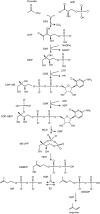 F<sc>ig</sc>. 4.