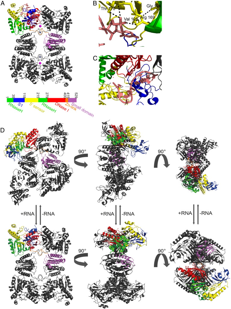 Fig. 3