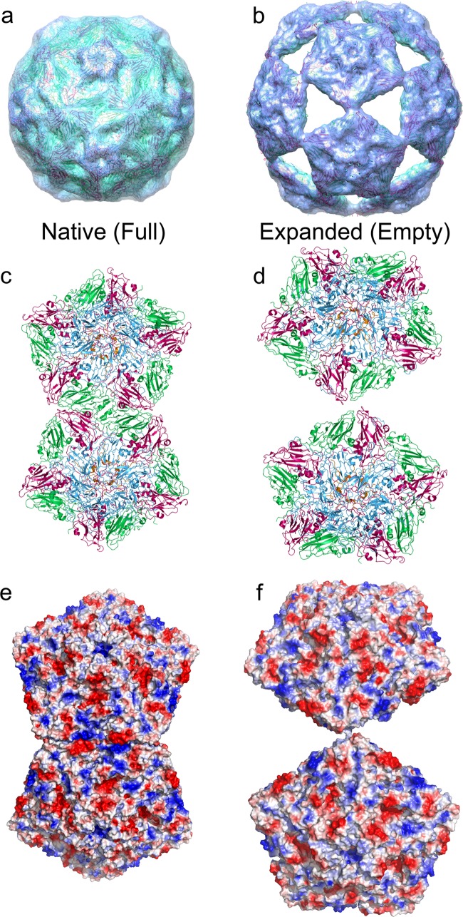 FIG 3