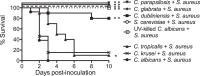 FIG 1