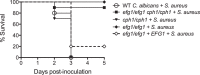 FIG 6