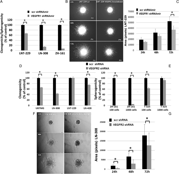 Fig. 3.