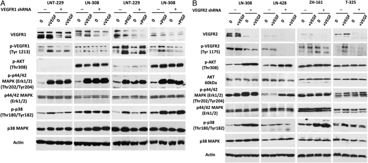 Fig. 2.