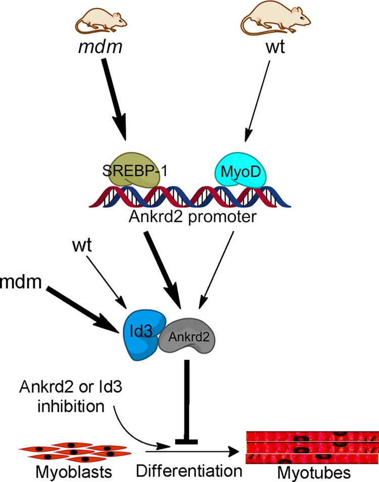 FIGURE 7.