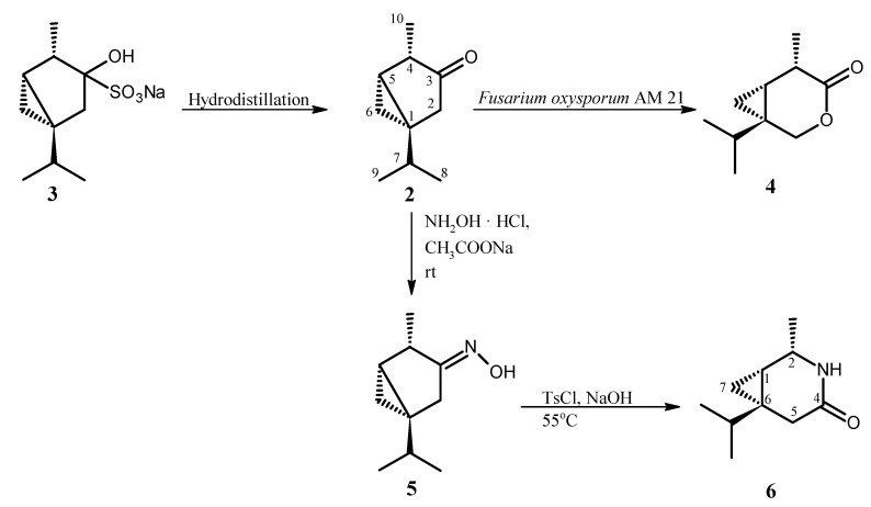 Scheme 1