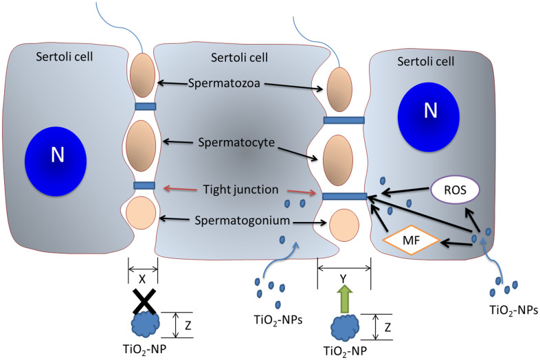 Figure 7