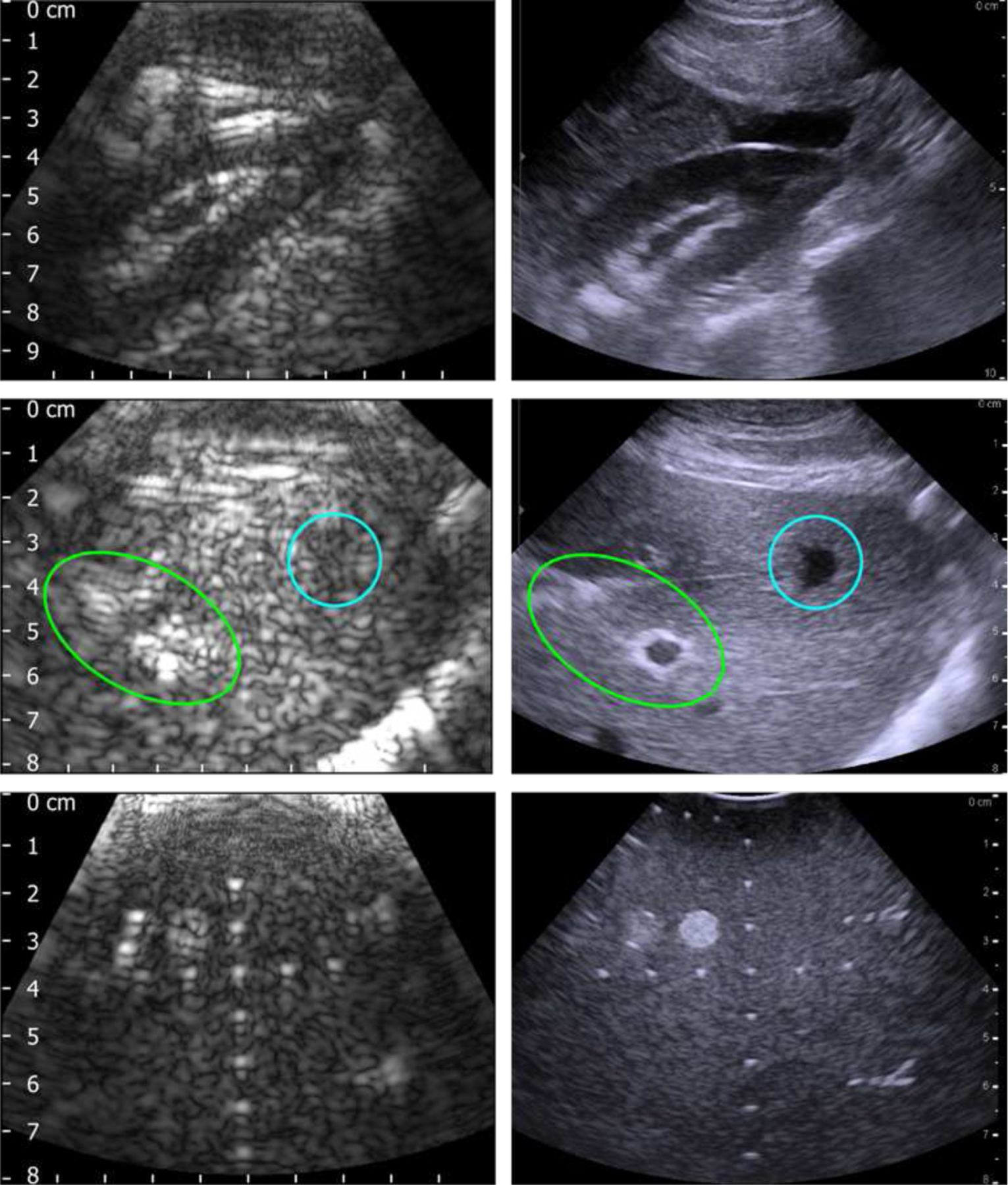 Fig. 11.