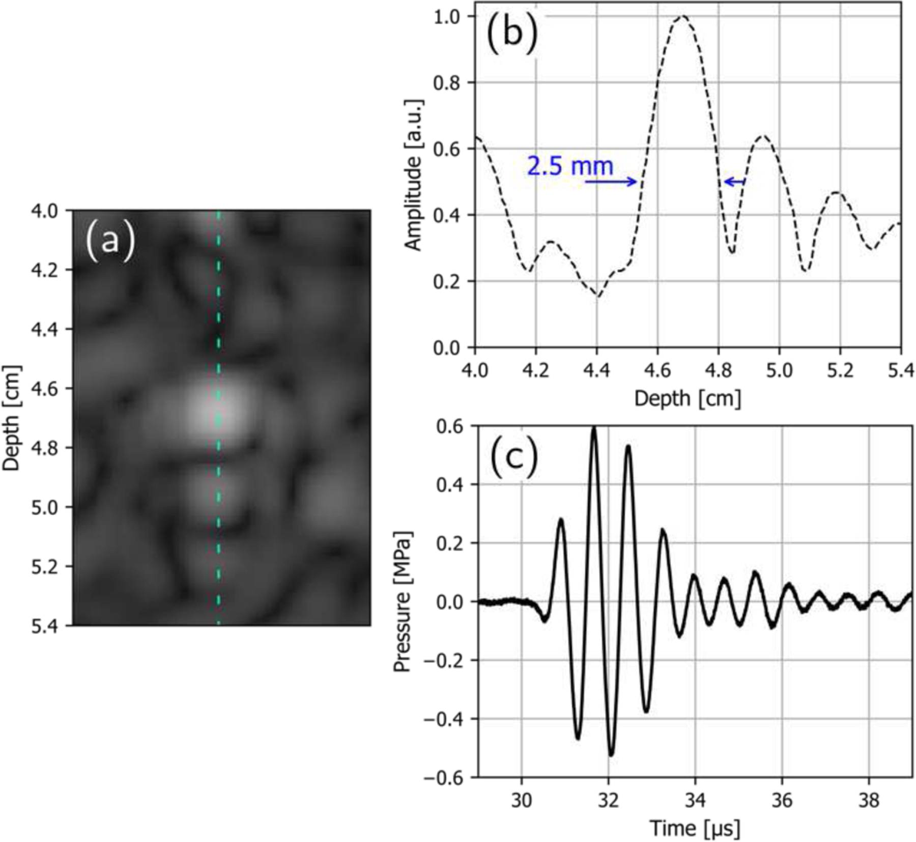 Fig. 12.