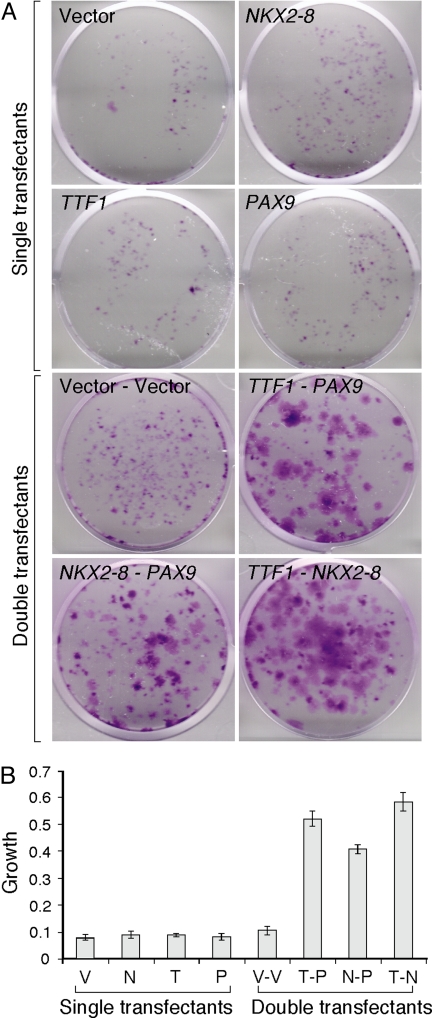 Fig. 2.