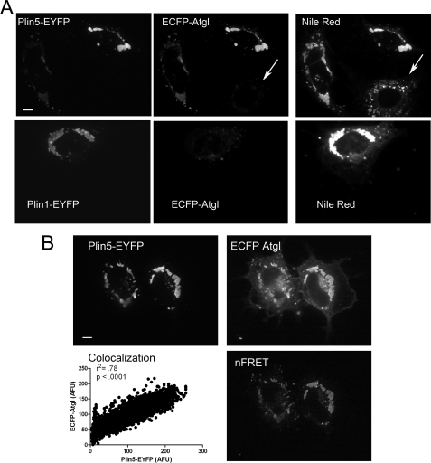 FIGURE 3.