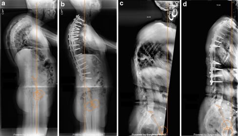 Fig. 5