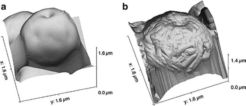 Fig. 11