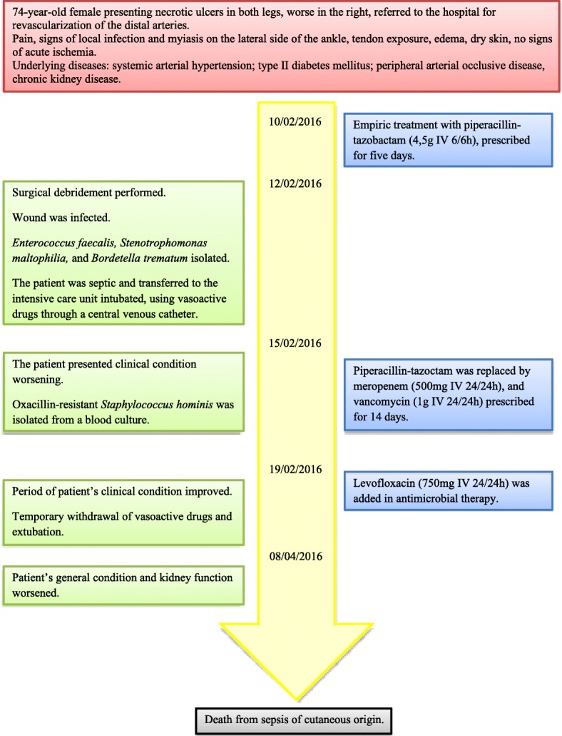 Fig. 1