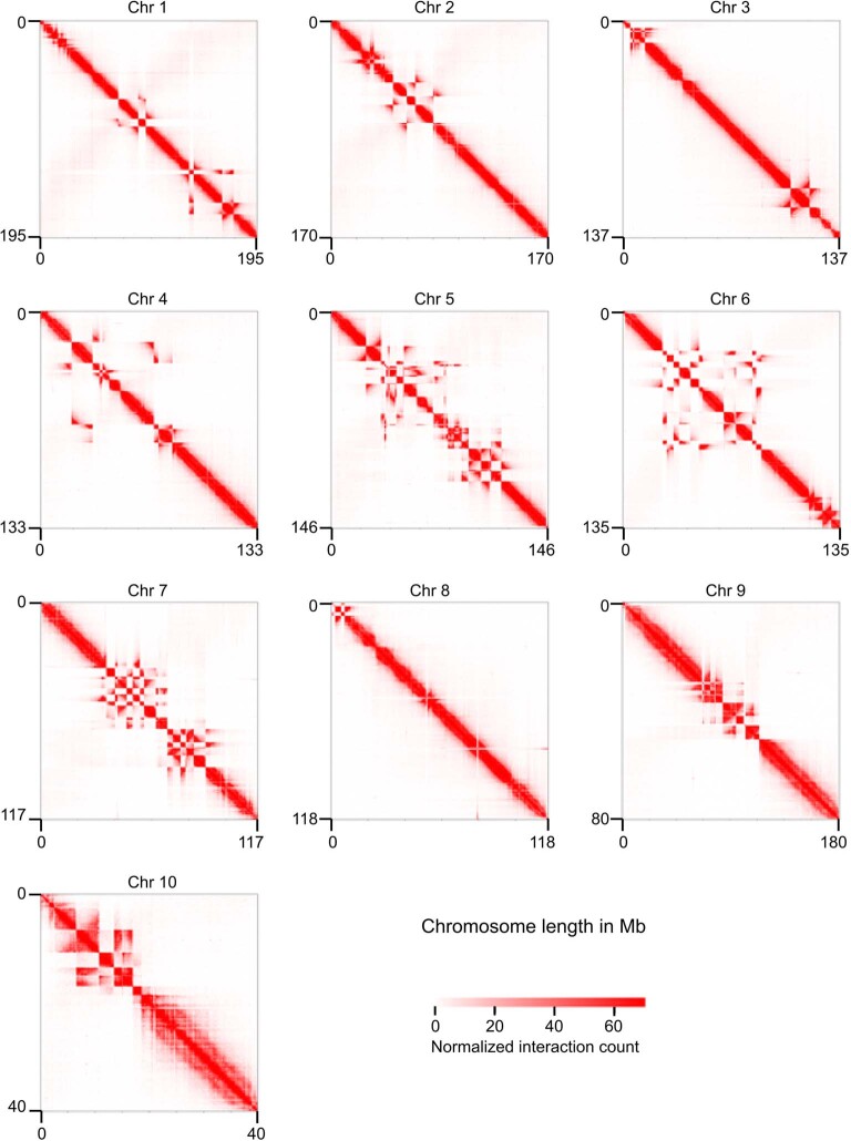 Extended Data Fig. 1