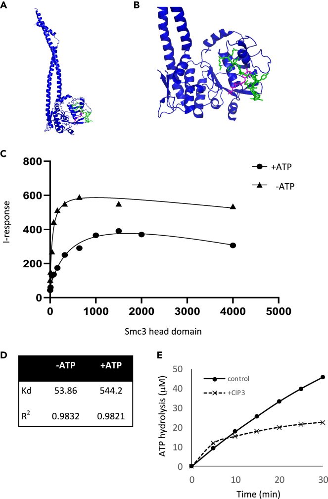 Figure 3