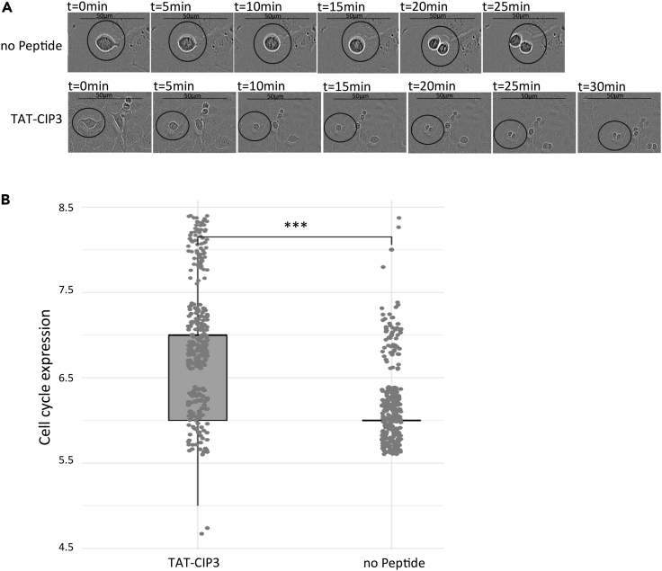 Figure 5