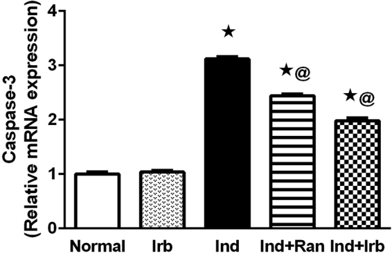 Figure 5