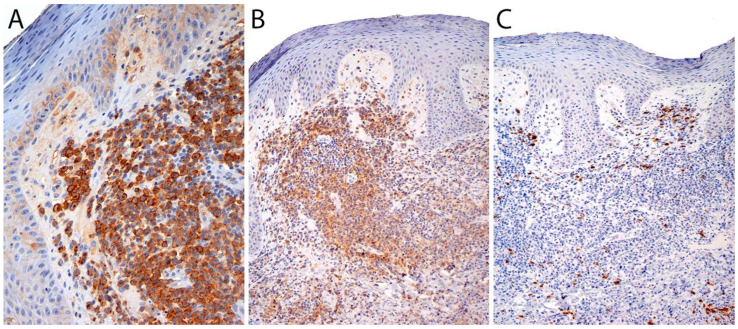 Figure 15