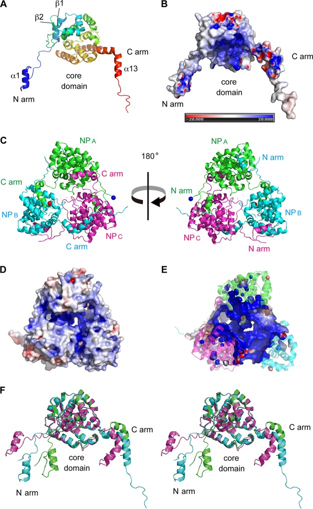 FIG 1