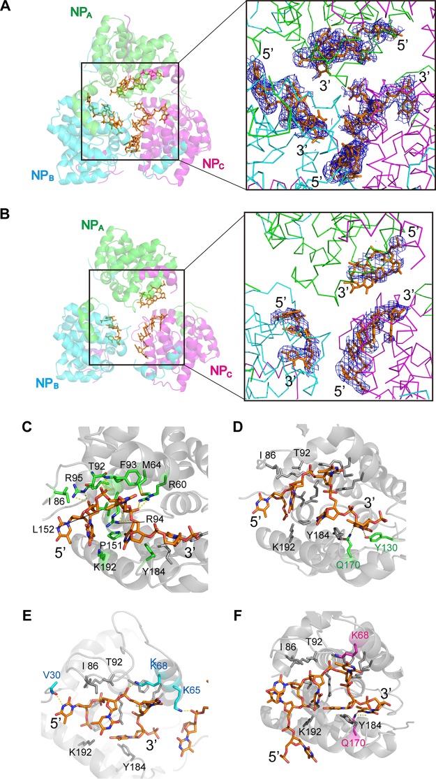 FIG 3