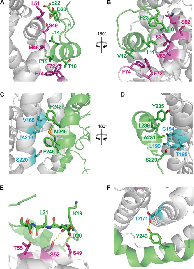 FIG 2