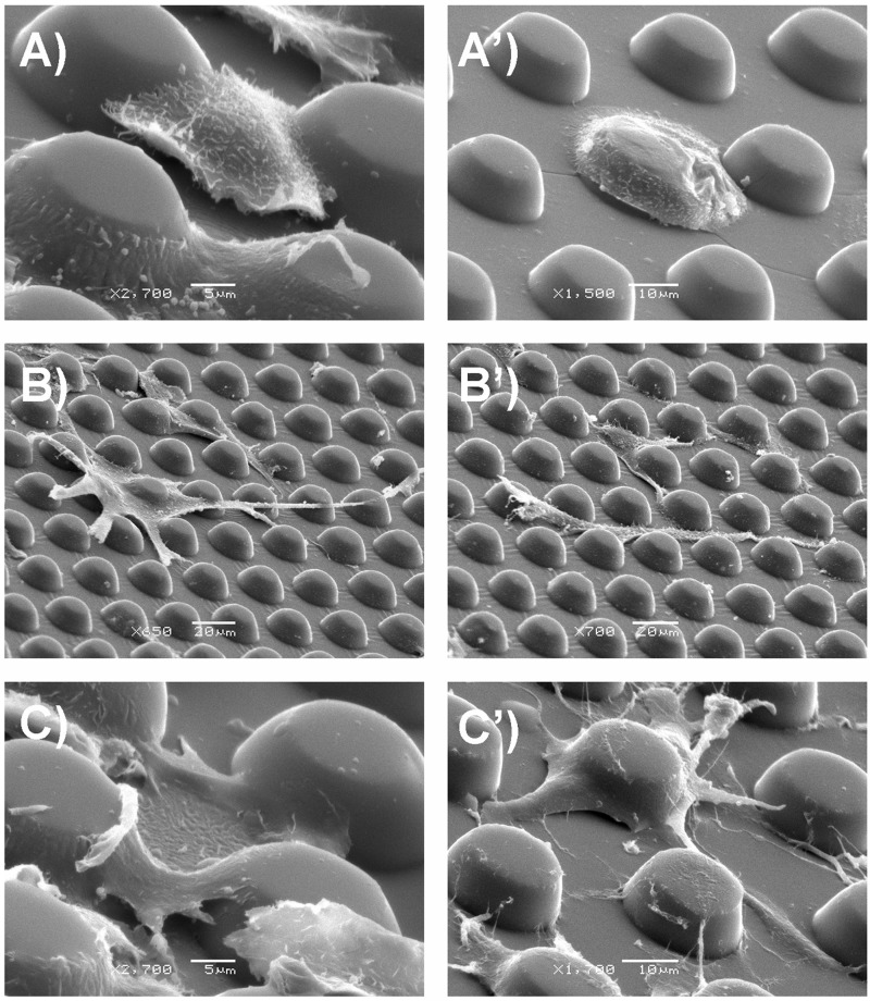 FIG. 5.