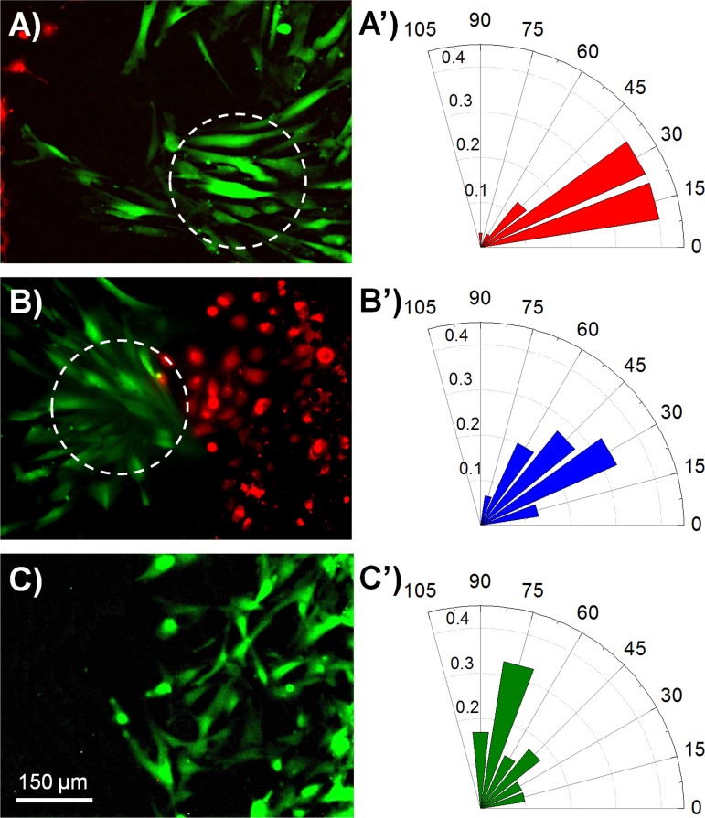 FIG. 7.