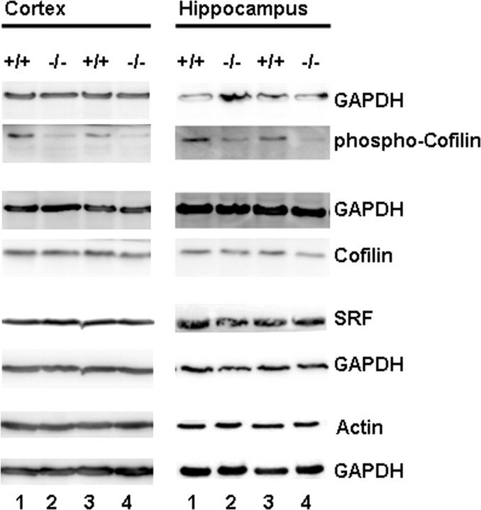 Figure 9.