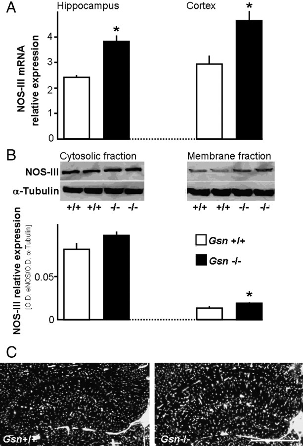 Figure 11.