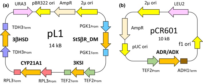 Figure 2