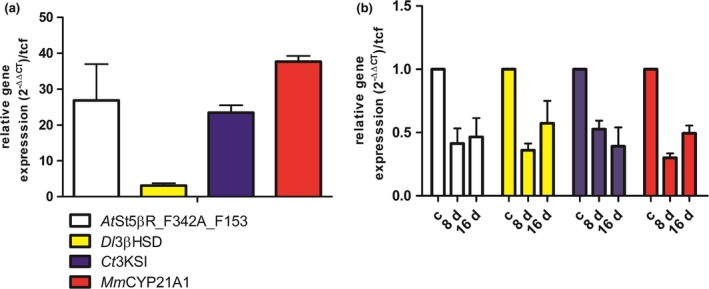 Figure 6