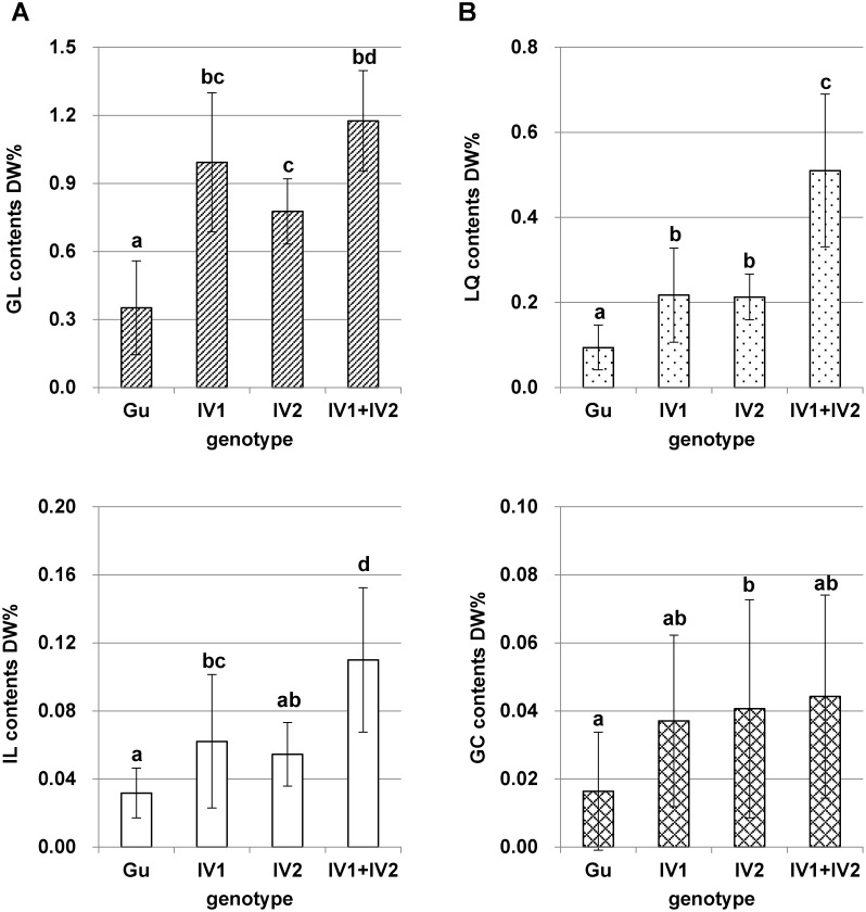 Figure 7. Secondary metabolite contents and CYP88D6 intron 7 genotype of hydroponically cultivated G. uralensis clones. (A) glycyrrhizic acid (GL), (B) liquiritin (LQ), (C) isoliquiritin (IL), (D) glycycoumarin (GC). Different letters over the tops of columns indicate significant differences (p<0.05) by Tukey–Kramer’s test.