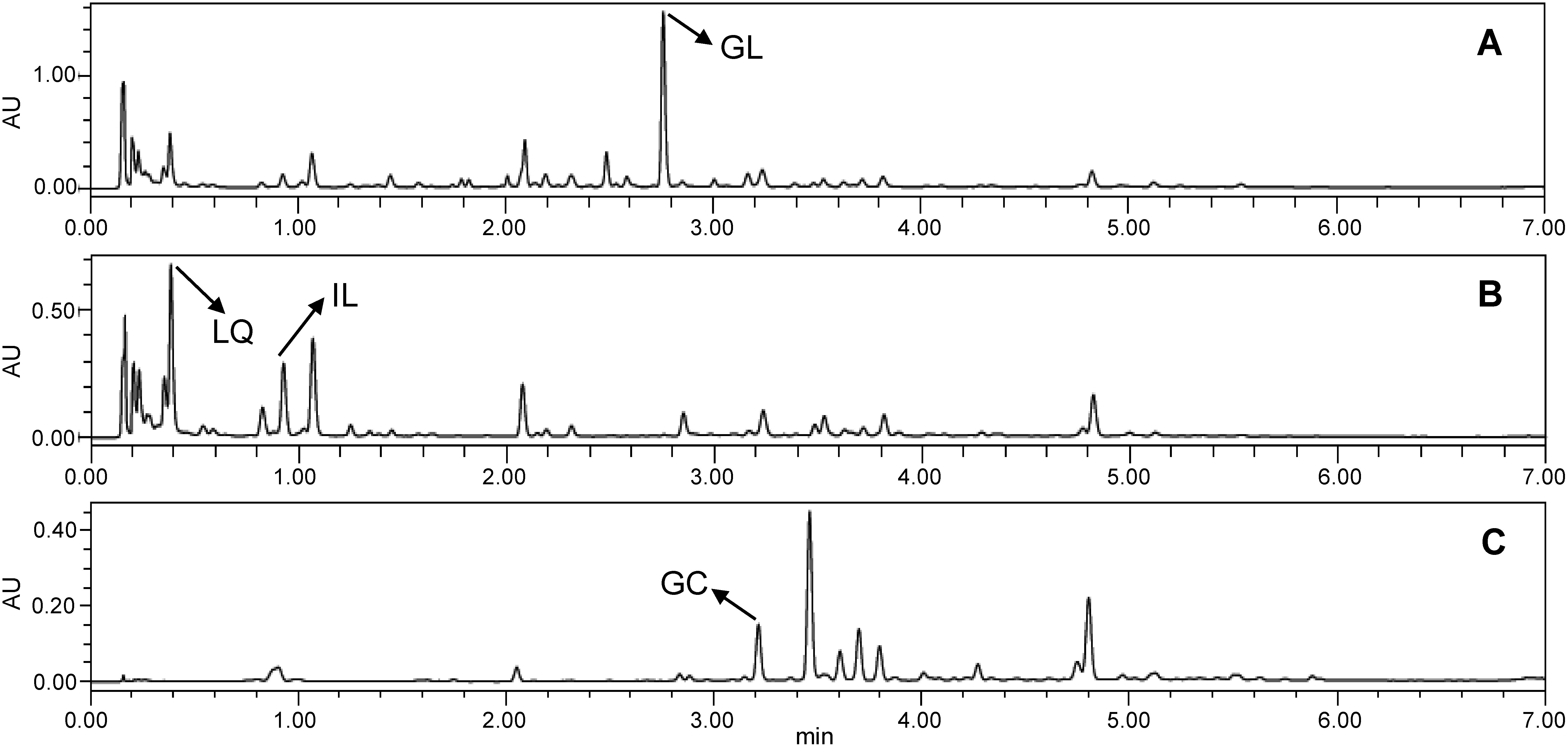 Figure 6. HPLC chromatogram of hydroponically cultivated G. uralensis clone (Gu71#31). (A) 254 nm chromatogram, (B) 316 nm chromatogram, (C) 350 nm chromatogram. GL: glycyrrhizic acid, LQ: liquiritin, IL: isoliquiritin, GC: glycycoumarin.