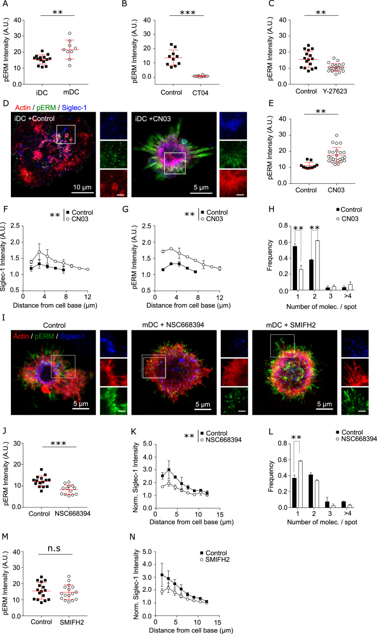 Figure 3—figure supplement 1.