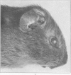 374-1