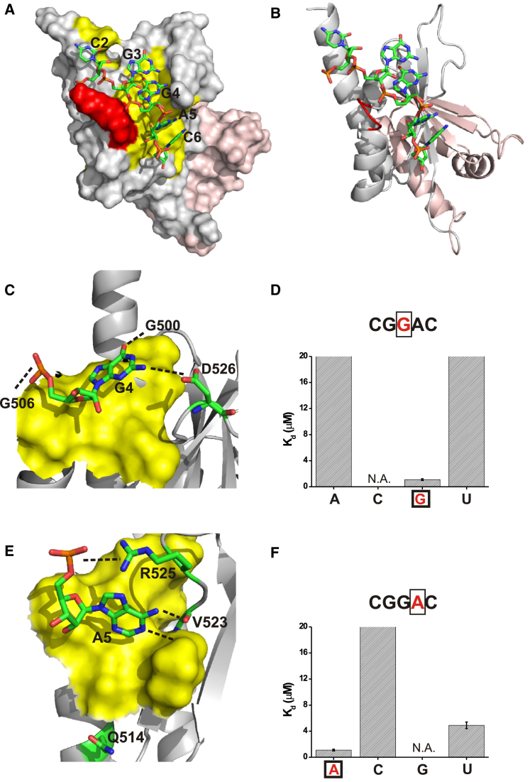 Figure 3