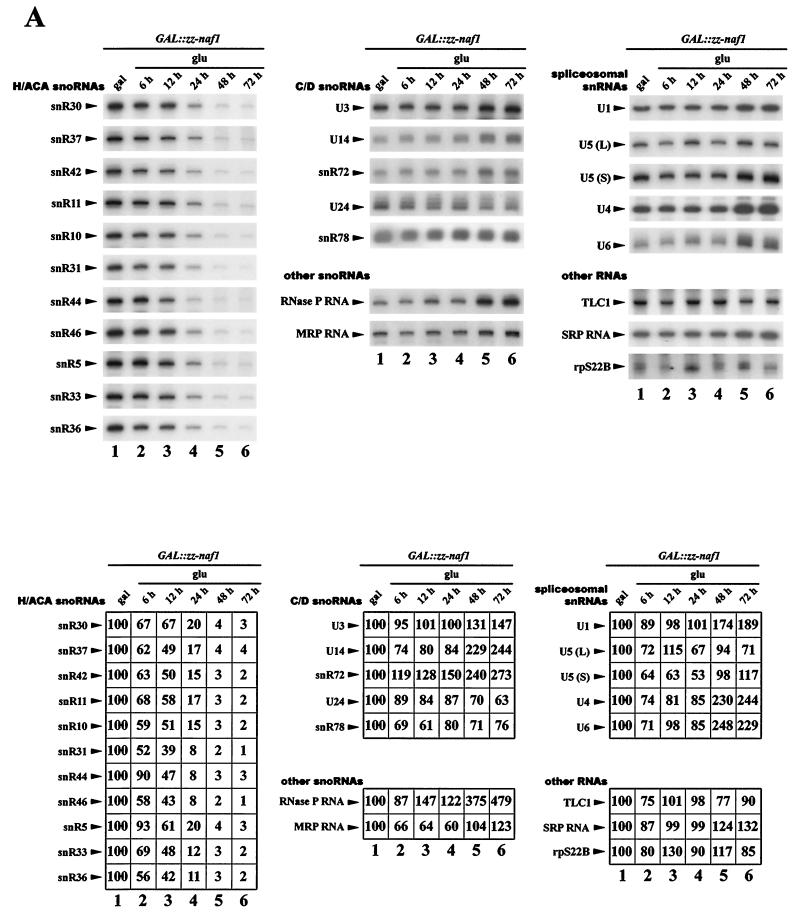 FIG. 6.