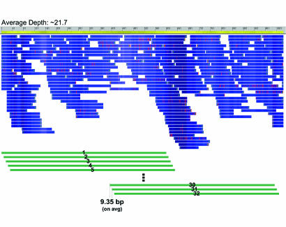 Fig. 4.