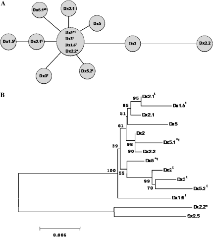 Figure 7.—