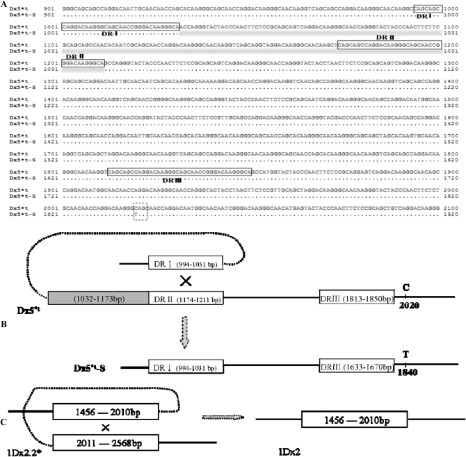 Figure 6.—