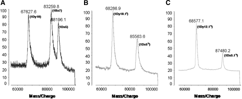 Figure 2.—