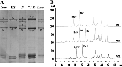 Figure 1.—