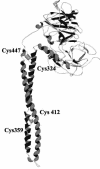 FIG. 1.